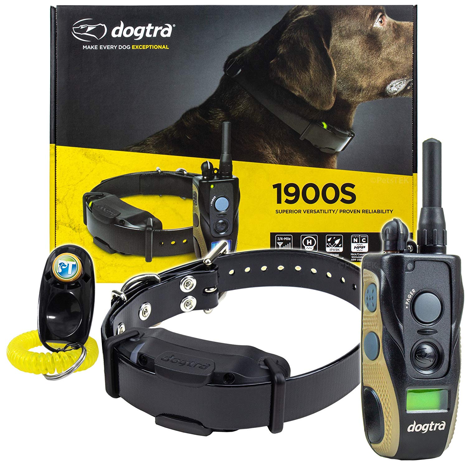 e collar training for aggressive dogs